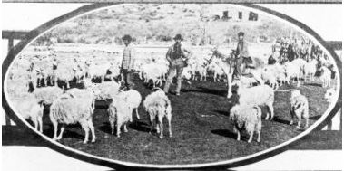 Chiva Town in Las Cruces 1907