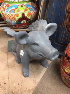 Flying pigs for sale in Las Cruces at Coyote Traders