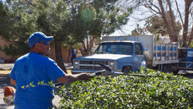 Landscape maintenance service in Las Cruces