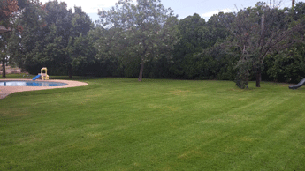 Lawn after mowing