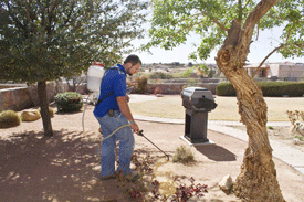 Pesticide application service in Las Cruces