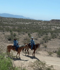 Horseback riding in Las Cruces