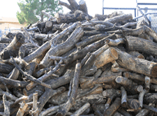Firewood for sale and delivered in Las Cruces, NM
