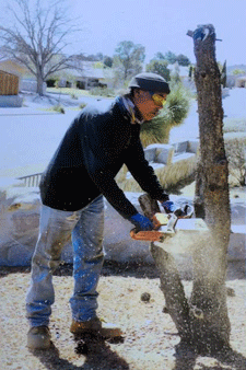 Tree care in Las Cruces