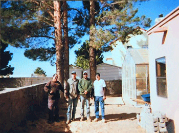 Tree company in Las Cruces, NM