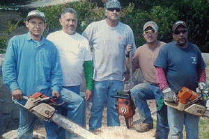 Las Cruces Tree Service - Dona Ana County Tree Care