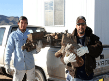 Firewood delivery in Las Cruces