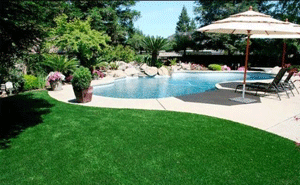 Easylawn Synthetic lawn turf in Las Cruces