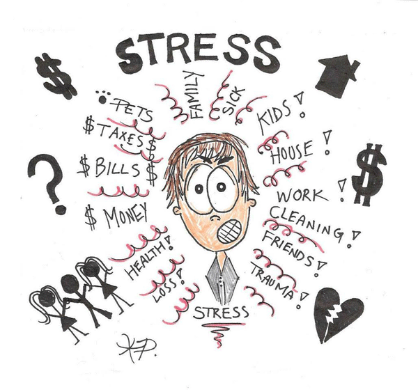 How does stress affect the body