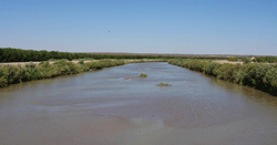 The Rio Grande in Las Cruces, NM