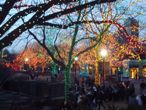 Zoo with lights in Chicago, Illinois