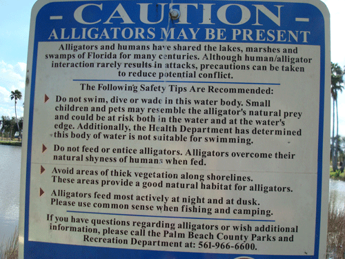 Caution alligators sign