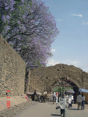 Stone wall in Gondar, Ethiopia