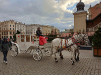Travel to Krakow, Poland