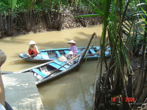 Delta in Mekong Delta, Vietnam