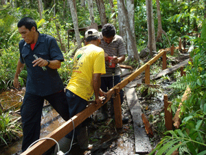 Building a walkway in Panglan Bun Borneo Indonesia