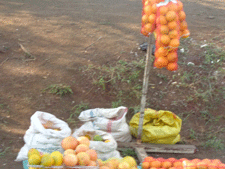 Tropical fruit stand in Swaziland