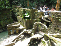 Sculpture garden in Xilitla, Mexico