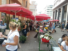 Market in Zagreb, Croatia
