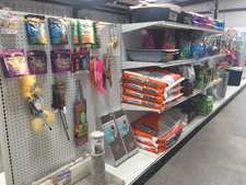 Animal toys for sale at Zia Feed and Supply in Las Cruces, NM