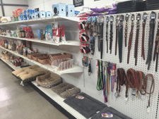 Dog and cat supplies, leashes, collars, beds and supplies for sale at Zia Feed and Supply in Las Cruces, NM