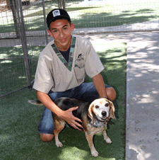 Doggy daycare in Las Cruces