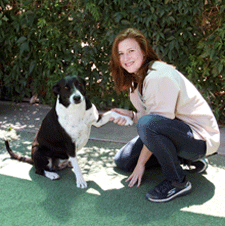 Caring dog boarding facility in Las Cruces