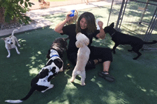 Personalized dog daycare in Las Cruces