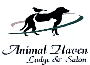 Animal Haven Lodge & Salon in Las Cruces
