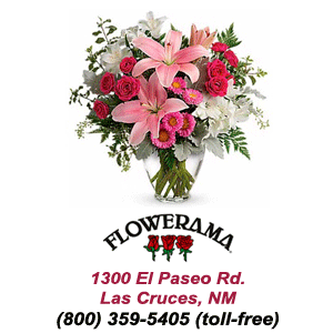 Best Florist in Las Cruces, New Mexico