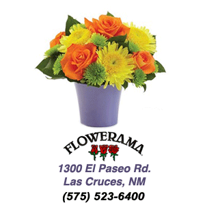 Best Florist in Las Cruces, New Mexico