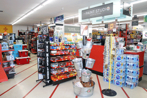 Big Star ACE  Hardware  Full Service Hardware  Store in Las  