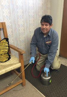 Pest control, exterminator service in Las Cruces, NM