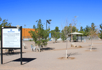 Dog Park in Las Cruces