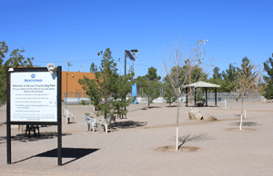 Las Cruces Dog Park