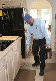 Ant control spraying in Las Cruces