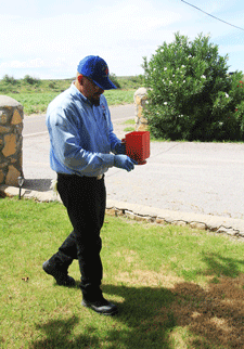 Grub worms control in Las Cruces