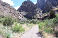 Dripping Springs trail