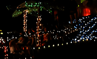 Electric Light Parade in Las Cruces NM 2025