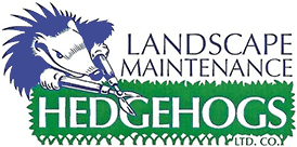 Hedgehogs Landscape Maintenance in Las Cruces