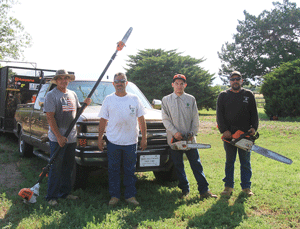 Tree Care Service in Las Cruces - Dona Ana Tree Care