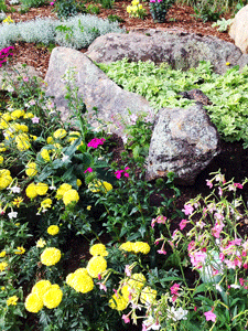 Flower garden installation in Las Cruces