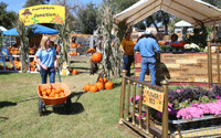Mesilla Valley Maze in Las Cruces NM 2025