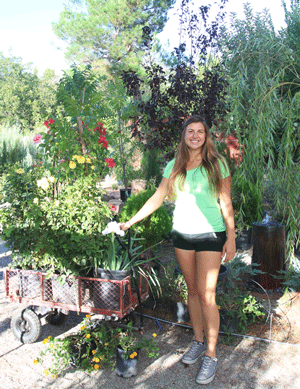 Las Cruces Garden Center - Natura Greenhouse