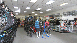 Bicycle Shop in Las Cruces, NM