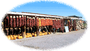 Gift shop and chile in Mesilla