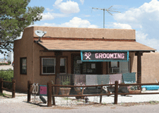 Pet Grooming at Siesta RV Park in Las Cruces