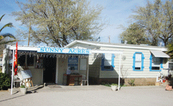 Nice RV Park in Las Cruces