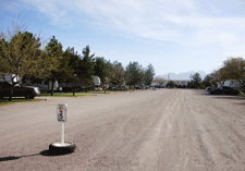 Shady RV Park in Las Cruces