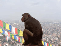 Kathmandu, Nepal